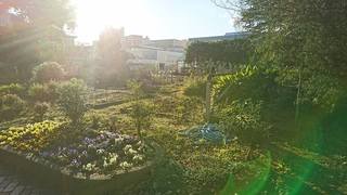 24900146_919199288229414_1803735890368889491_n.jpg