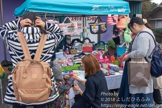 DSC_5250.jpg