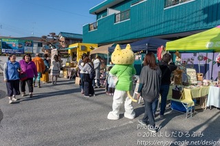 DSC_5638.jpg