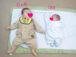 Rs[ ` SBSH0141.JPG